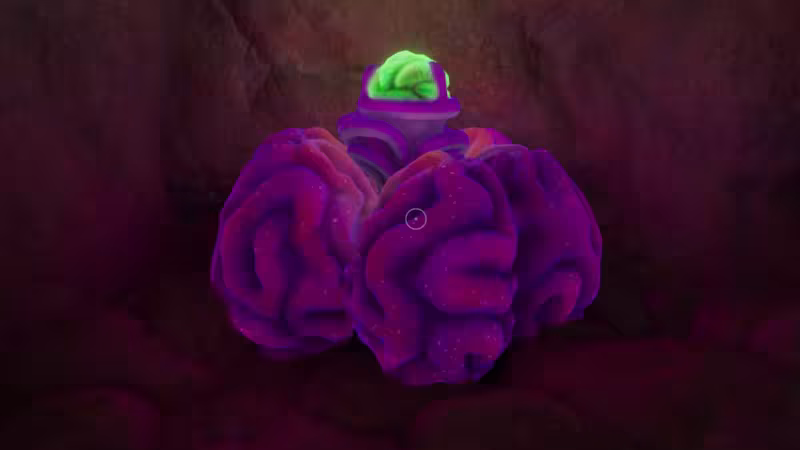 Subnautica 2: onde encontrar o Acidic Raion Pouch