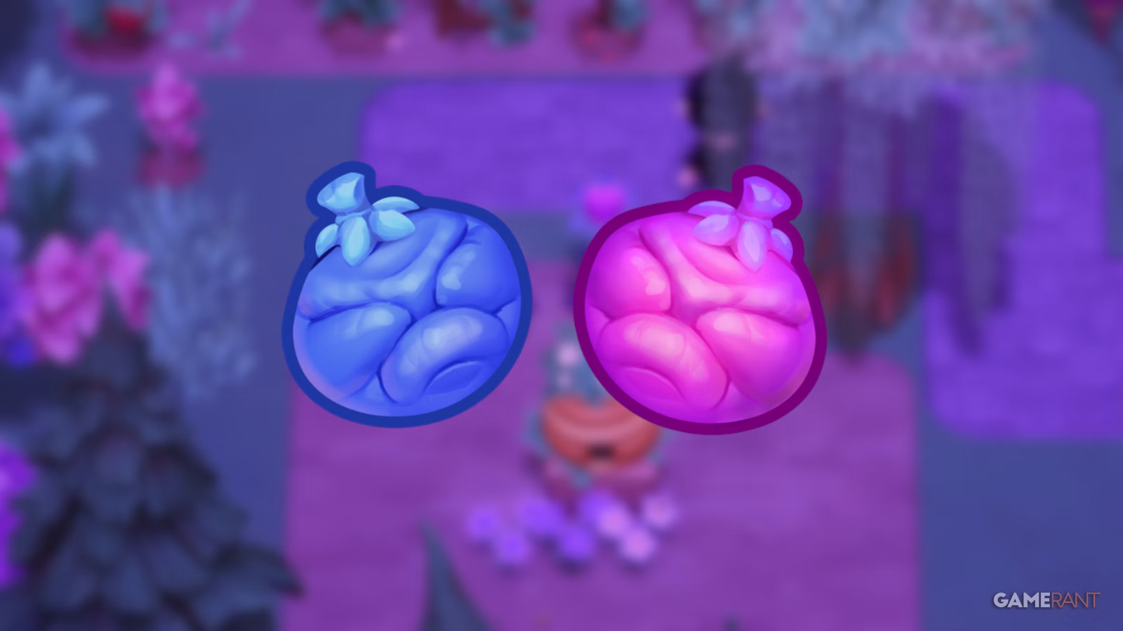 Moonlight Peaks: como cultivar Wiccas Doces e Choronas