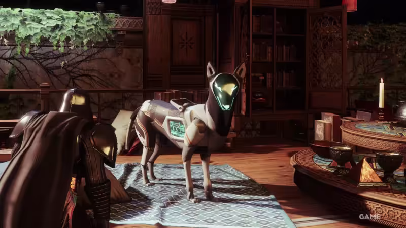 Destiny 2: onde encontrar Archie e fazer carinho no cachorro