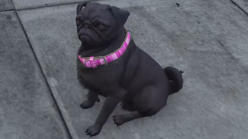 GTA Online: onde encontrar pugs