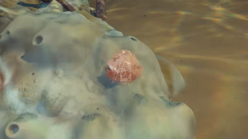 Como conseguir Sal em Subnautica 2