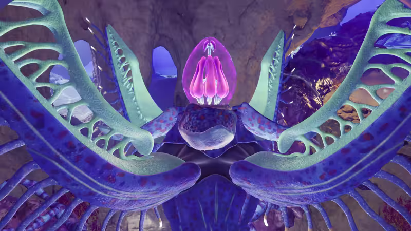 Angel Comb em Subnautica 2: como resolver e onde achar
