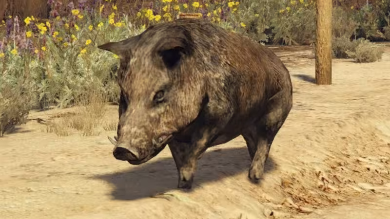 GTA Online: onde encontrar javalis