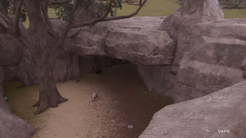 Planet Zoo 2: como construir abrigos para os animais