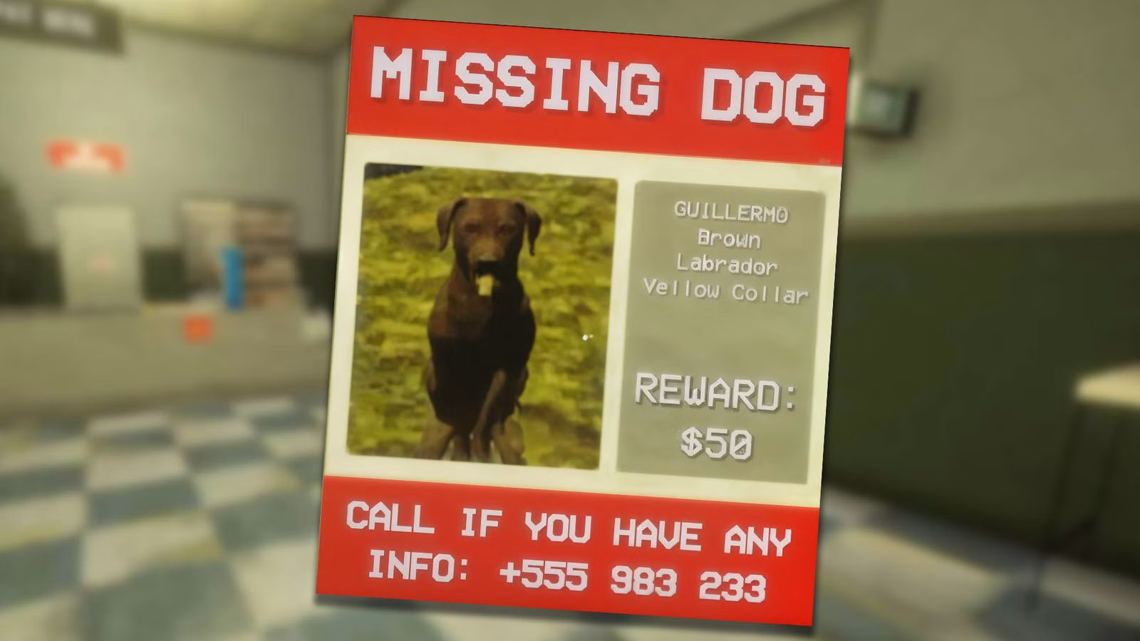 Shift at Midnight: é possível encontrar o cachorro Guillermo?
