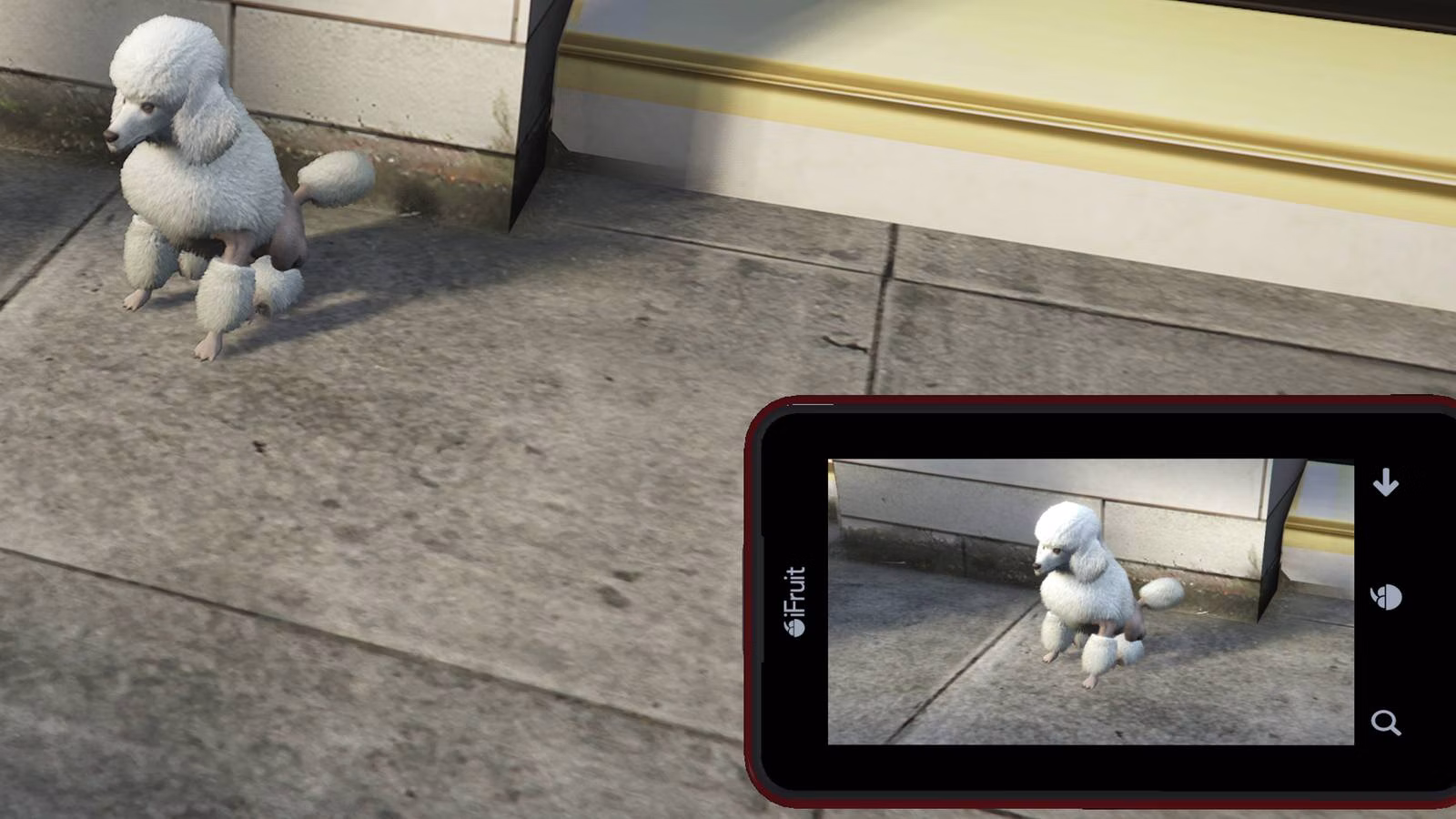 GTA Online: onde encontrar poodles e fotografar animais