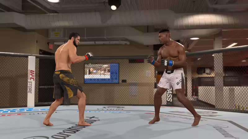 Como fazer e defender quedas em UFC 6