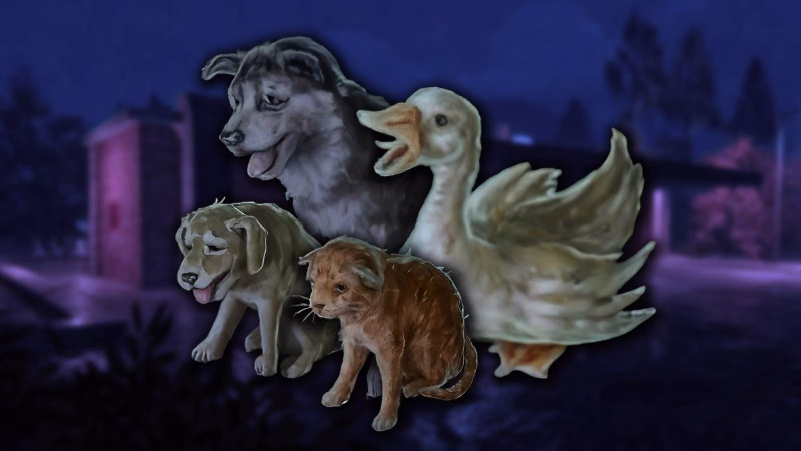 Shift at Midnight: qual animal de estimação escolher?