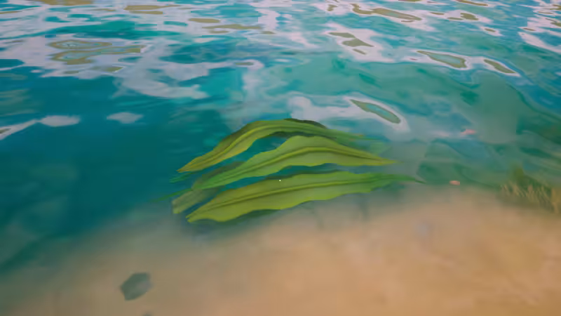 Solarpunk: onde encontrar Alga e como usar o recurso