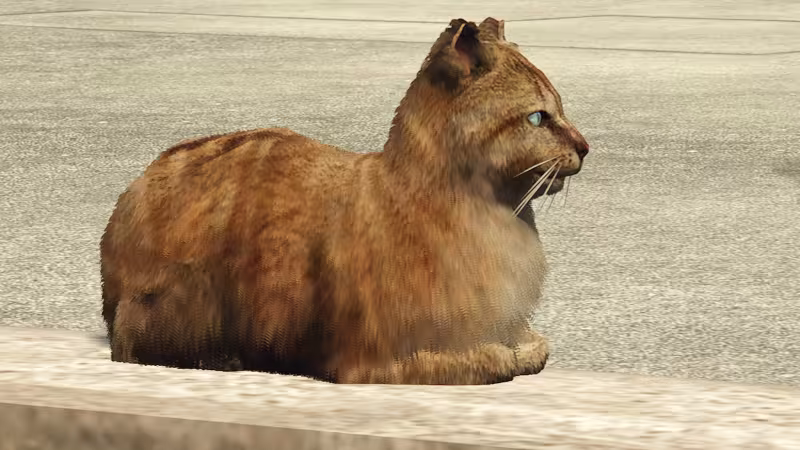 GTA Online: onde encontrar gatos e completar o desafio diário